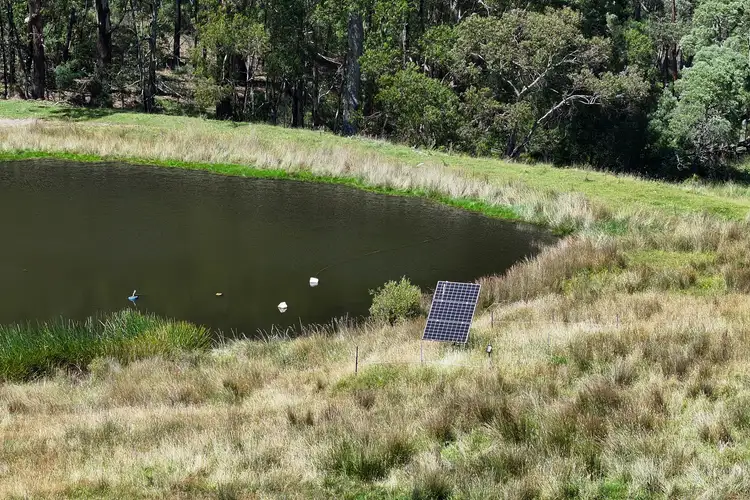 Second view of Homely rural property listing, 2831 Gelantipy Road, W Tree VIC 3885