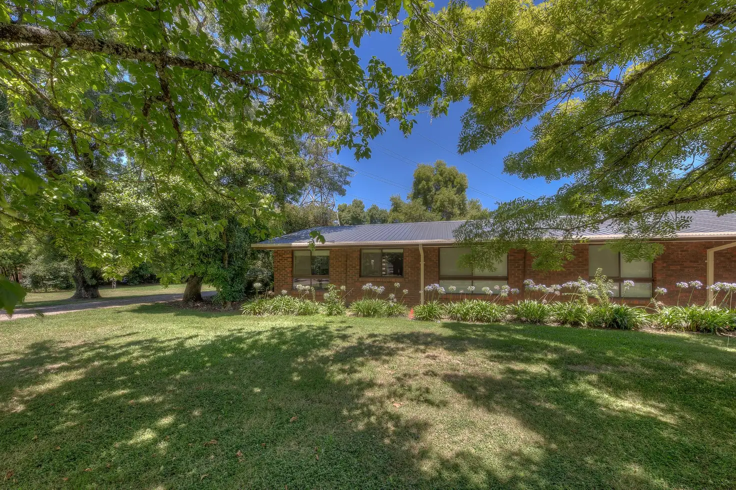 Main view of Homely unit listing, 1/10 Gavan Street, Bright VIC 3741