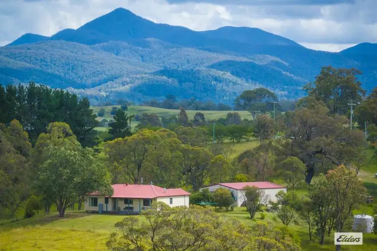 Main view of Homely rural property listing, 559 West Kameruka Road, Kameruka NSW 2550