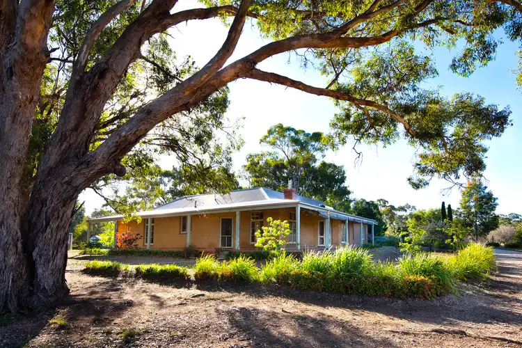 Second view of Homely house listing, 39 Mccleans Road, Strathfieldsaye VIC 3551