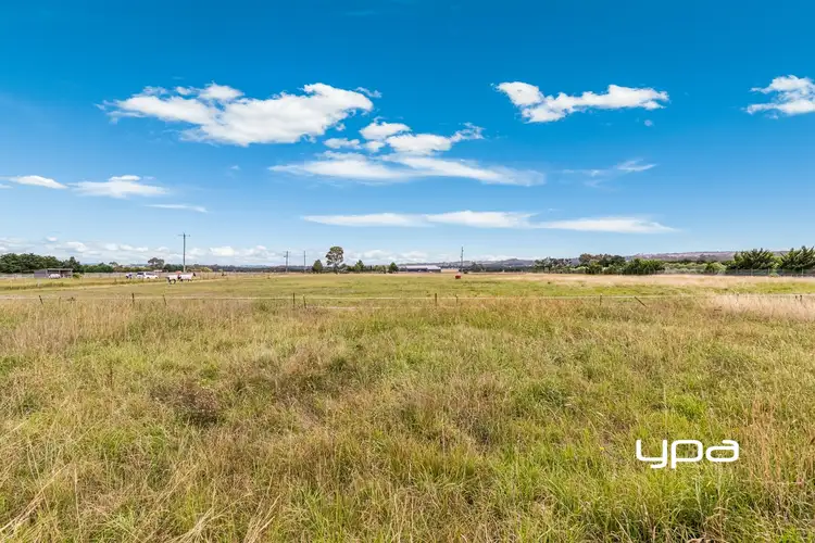 Fifth view of Homely house listing, 1325 Somerton Road, Bulla VIC 3428