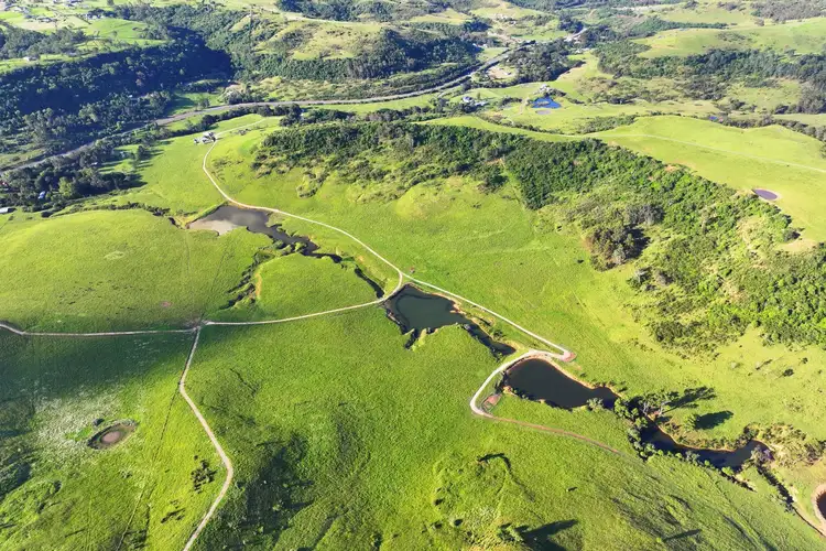 Sixth view of Homely house listing, 1485 Remembrance Driveway, Razorback NSW 2571