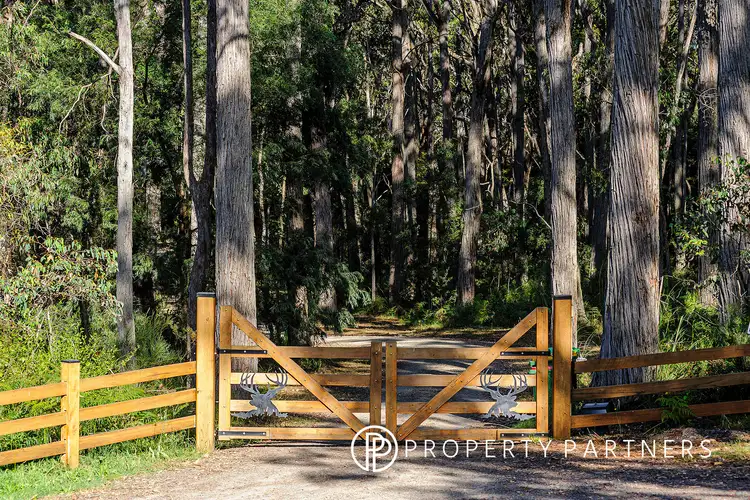 Second view of Homely land listing, 245 Eacotts Road, Hoddles Creek VIC 3139