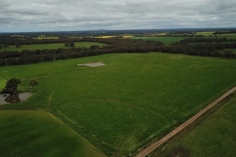 Fourth view of Homely rural property listing, 689 Craddock Road, Mount Barker WA 6324