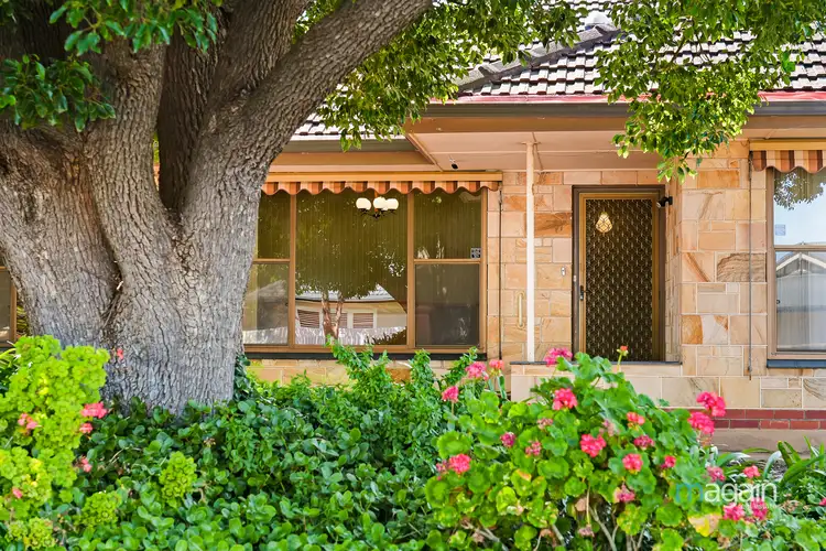 Third view of Homely house listing, 19 McCoy Street, Brighton SA 5048