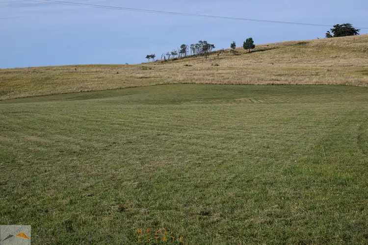 Fourth view of Homely land listing, 134 Long Swamp Road, Orange NSW 2800