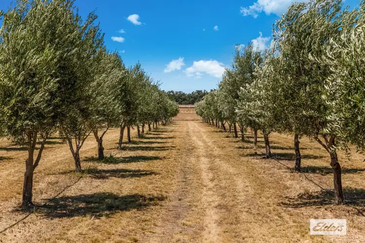 Sixth view of Homely rural property listing, Chamberlains Road, Inglewood VIC 3517