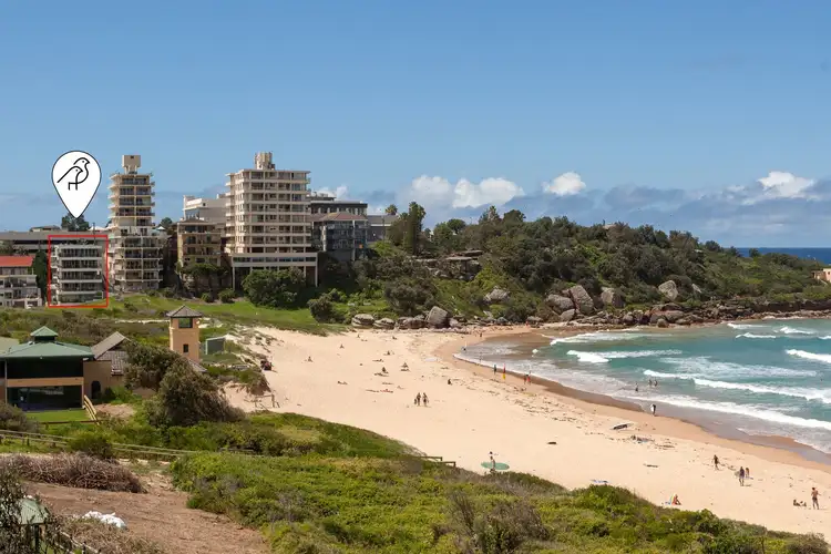Second view of Homely unit listing, 17/67 Evans Street, Freshwater NSW 2096