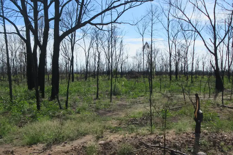 Main view of Homely rural property listing, 45 Tara Chinchilla Road, Tara QLD 4421