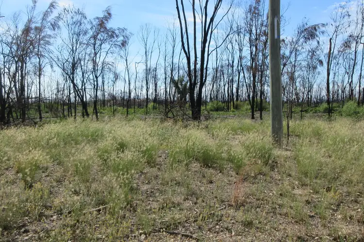 Sixth view of Homely rural property listing, 45 Tara Chinchilla Road, Tara QLD 4421