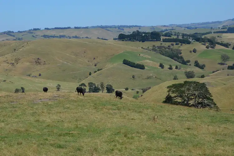 Second view of Homely rural property listing, 25 Brownhill Road, Mount Eccles VIC 3953
