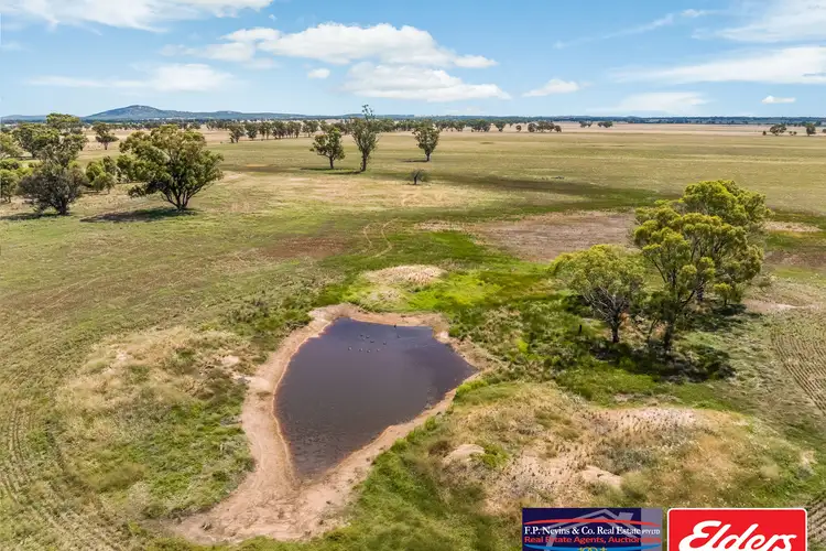Sixth view of Homely rural property listing, Inglewood-Powlett Road, Fiery Flat VIC 3518