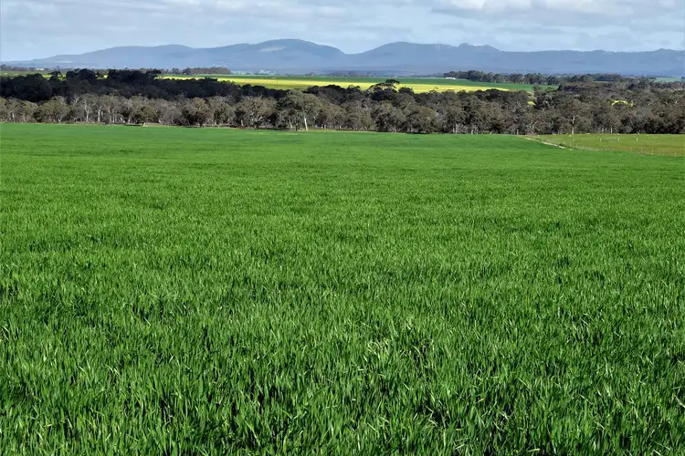 LOT 6148 Woogenellup North Road, Woogenellup WA 6324
