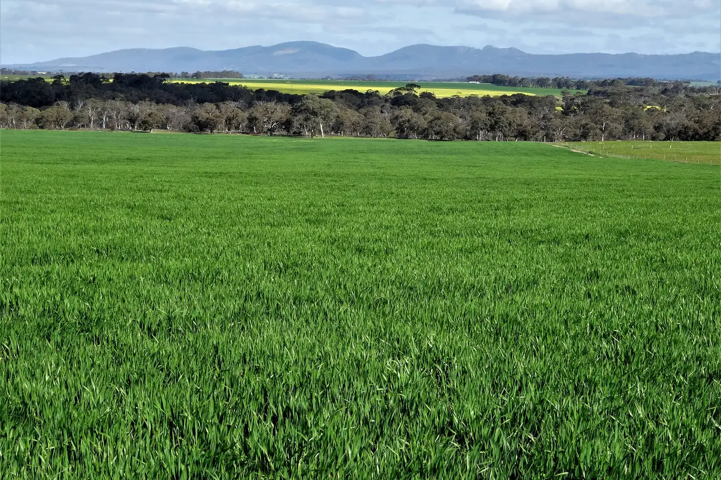 Main view of Homely rural property listing, LOT 6148 Woogenellup North Road, Woogenellup WA 6324