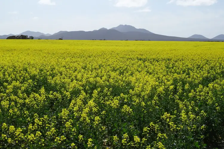 Third view of Homely rural property listing, LOT 6148 Woogenellup North Road, Woogenellup WA 6324