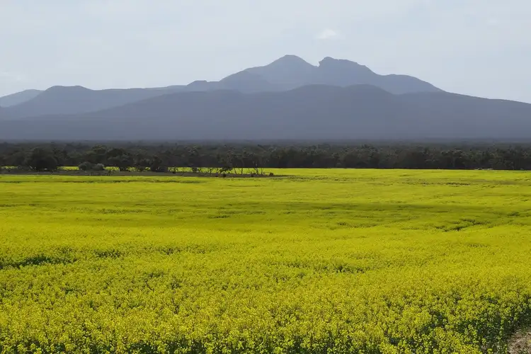 Fourth view of Homely rural property listing, LOT 6148 Woogenellup North Road, Woogenellup WA 6324