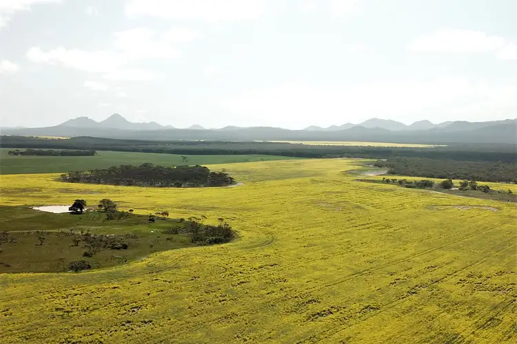Fifth view of Homely rural property listing, LOT 6148 Woogenellup North Road, Woogenellup WA 6324