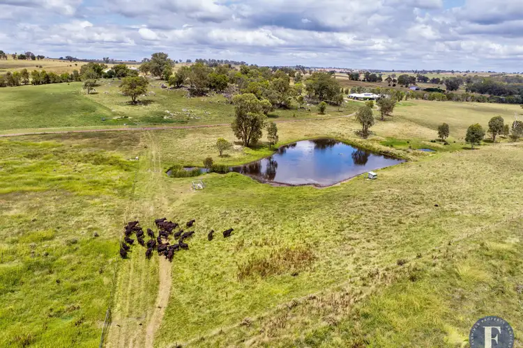 87 Mcbeths Road, Young NSW 2594