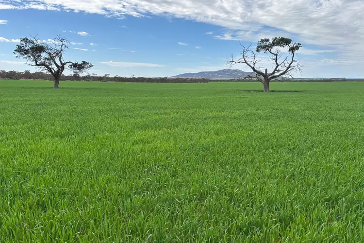 74 Humphries Road, Darke Peak SA 5642