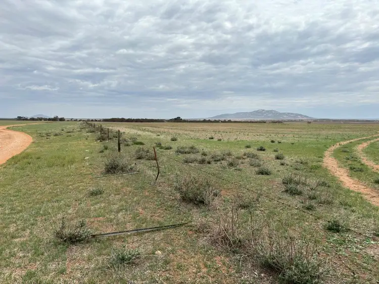Fourth view of Homely rural property listing, 74 Humphries Road, Darke Peak SA 5642