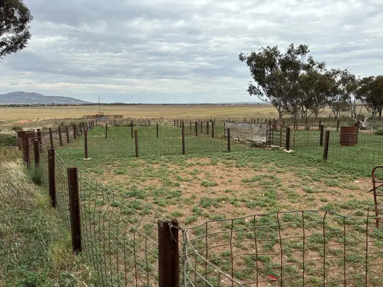 Seventh view of Homely rural property listing, 74 Humphries Road, Darke Peak SA 5642