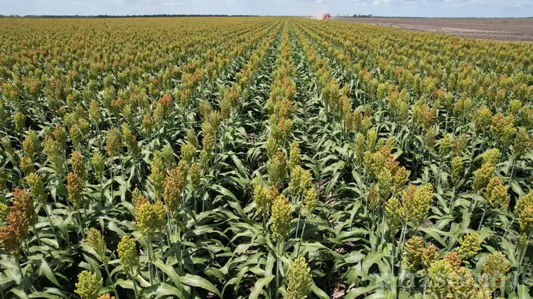 Fourth view of Homely rural property listing, Address available on request