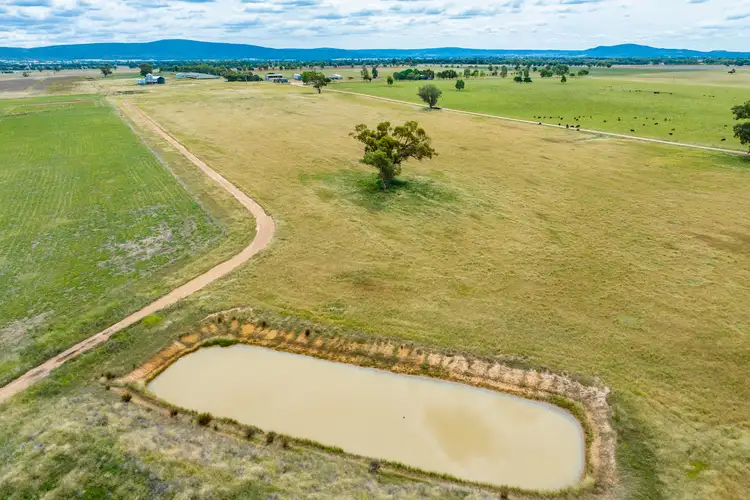 Sixth view of Homely rural property listing, 1078 Mid Western Highway, Cowra NSW 2794