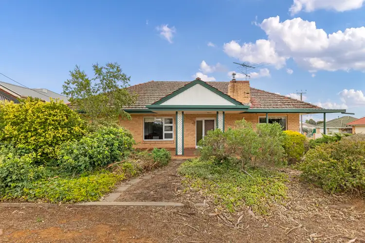 12 Johnson Avenue, Rostrevor SA 5073