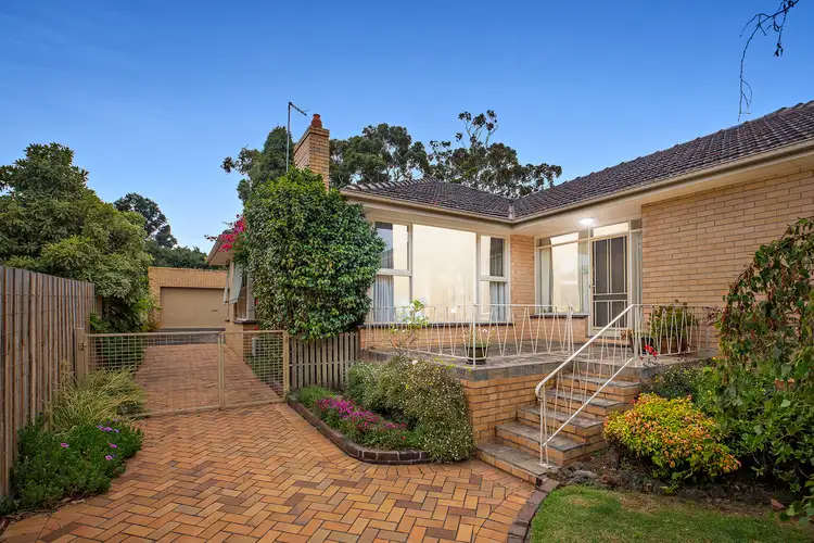 11 Beverley Street, Cheltenham VIC 3192