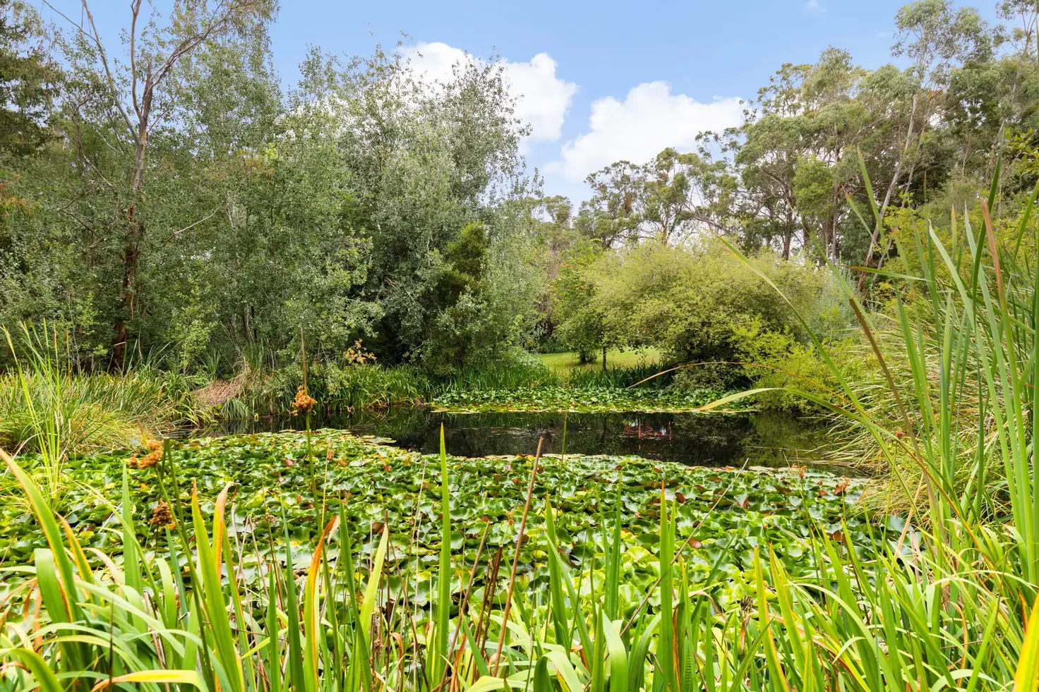 Main view of Homely rural property listing, 70 Landers Road, Spring Hill VIC 3444