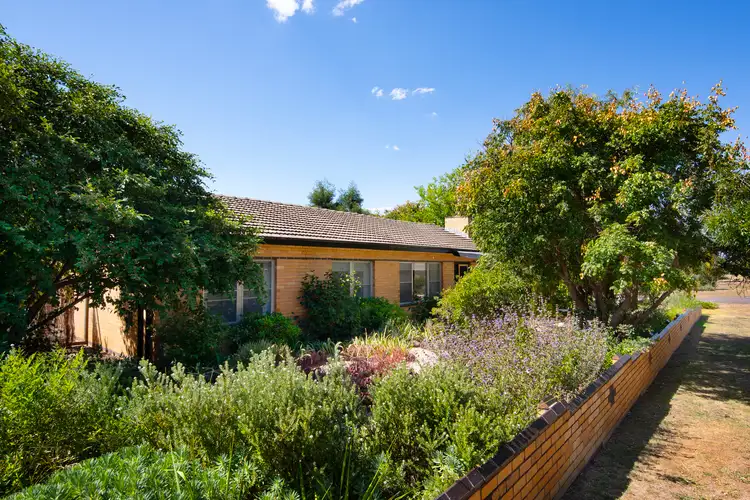 Second view of Homely house listing, 20 Adair Street, Maldon VIC 3463