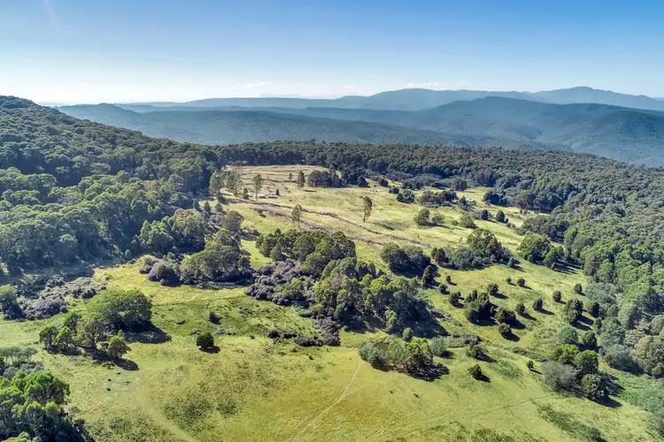 Main view of Homely rural property listing, 426 Bunstons Road, Tolmie VIC 3723