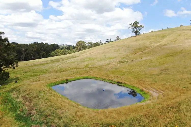 Fourth view of Homely rural property listing, 394 South Road, Loch VIC 3945