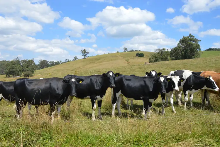 Fifth view of Homely rural property listing, 394 South Road, Loch VIC 3945