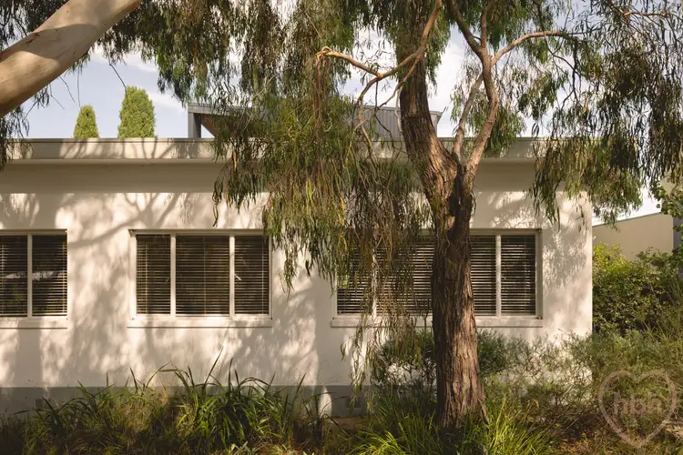 Second view of Homely house listing, 20 Blackbutt Street, O'connor ACT 2602