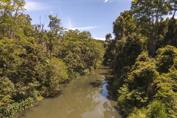 Sixth view of Homely house listing, 169 Cedar Road, Wilsons Creek NSW 2482