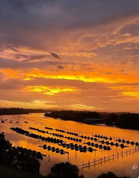 Main view of Homely apartment listing, 19/142-148 Little Street, Forster NSW 2428