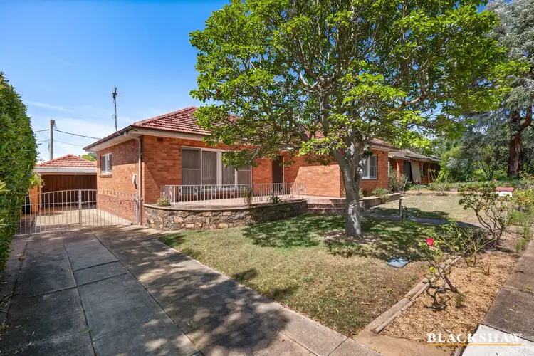 Main view of Homely house listing, 51 Strzelecki Crescent, Narrabundah ACT 2604