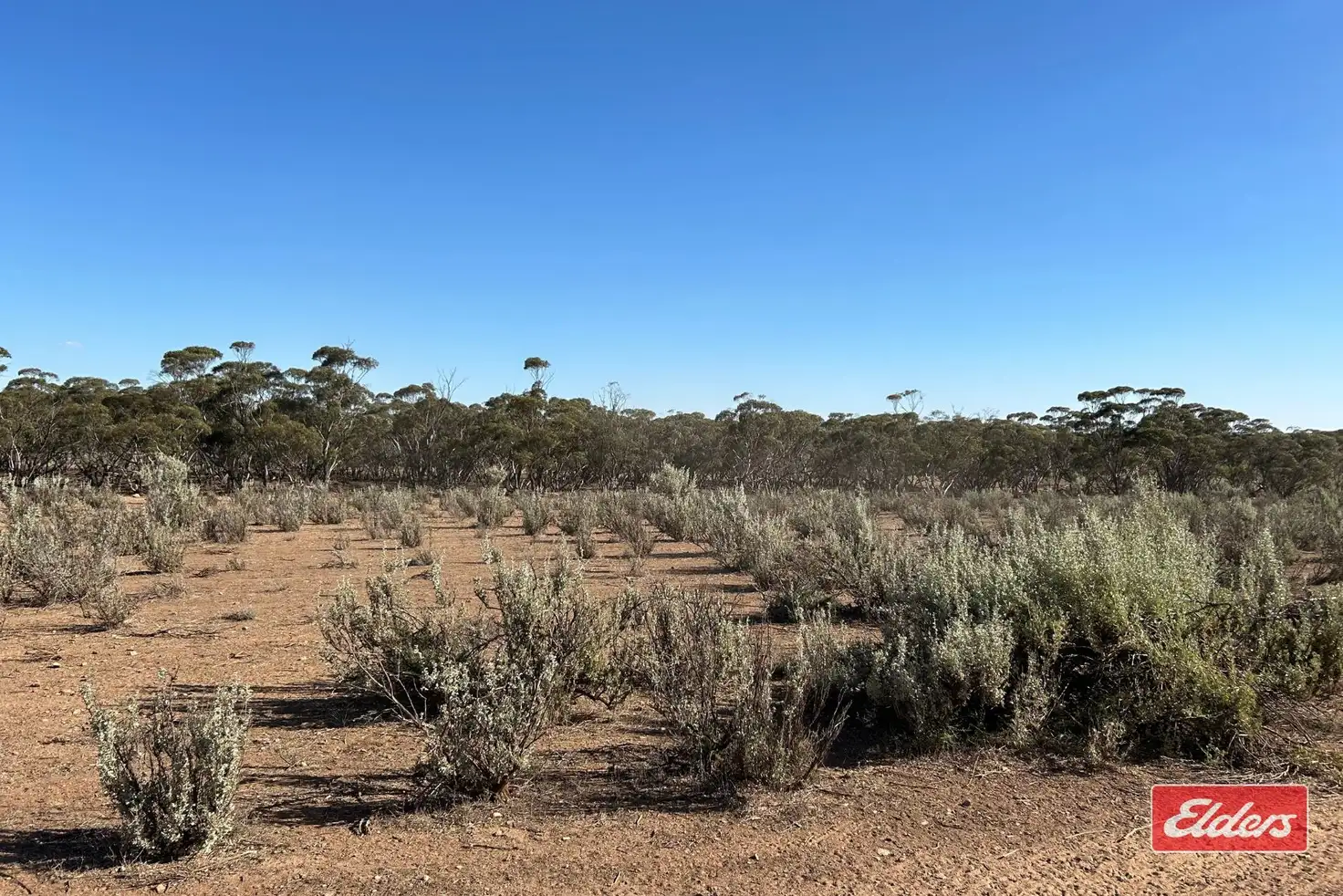 Main view of Homely land listing, 413 Railway Terrace, Sutherlands SA 5374