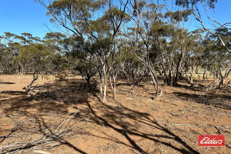Third view of Homely land listing, 413 Railway Terrace, Sutherlands SA 5374