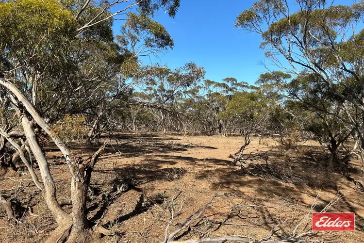 Fourth view of Homely land listing, 413 Railway Terrace, Sutherlands SA 5374