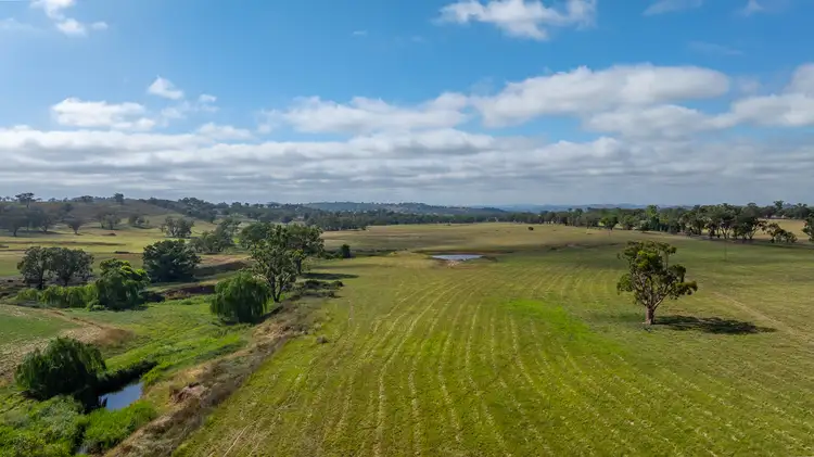 Fifth view of Homely rural property listing, Part 547 Gollan Road, Gulgong NSW 2852