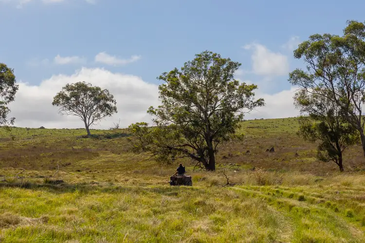Sixth view of Homely rural property listing, Part 547 Gollan Road, Gulgong NSW 2852