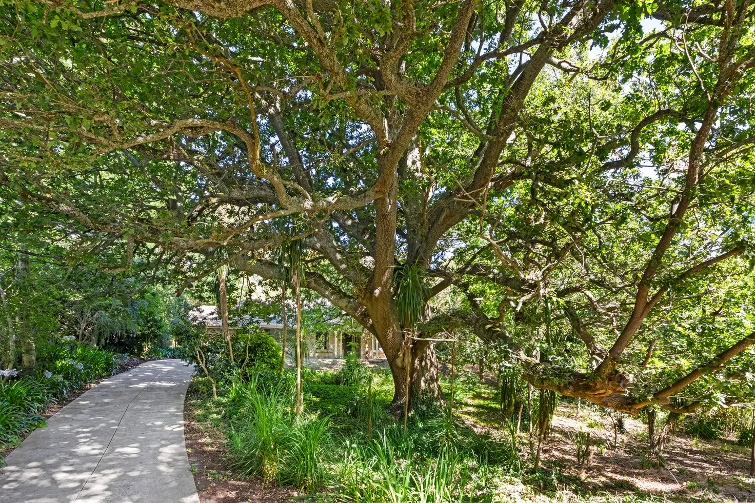Main view of Homely house listing, 5 St Wilfred Avenue, Stirling SA 5152