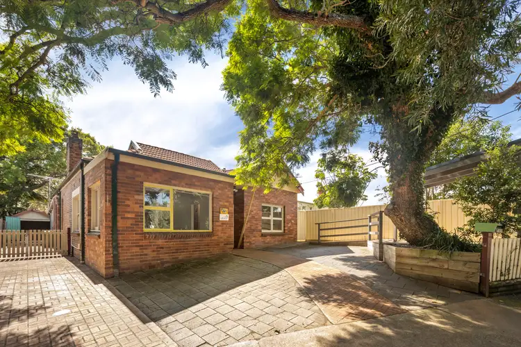 14 Bruce Street, Ashfield NSW 2131