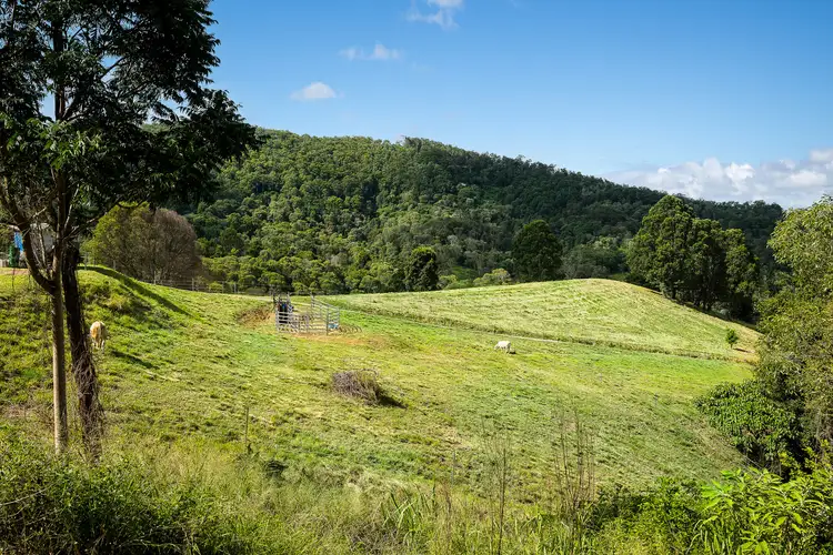 25 Whiting Road, Wamuran Basin QLD 4512