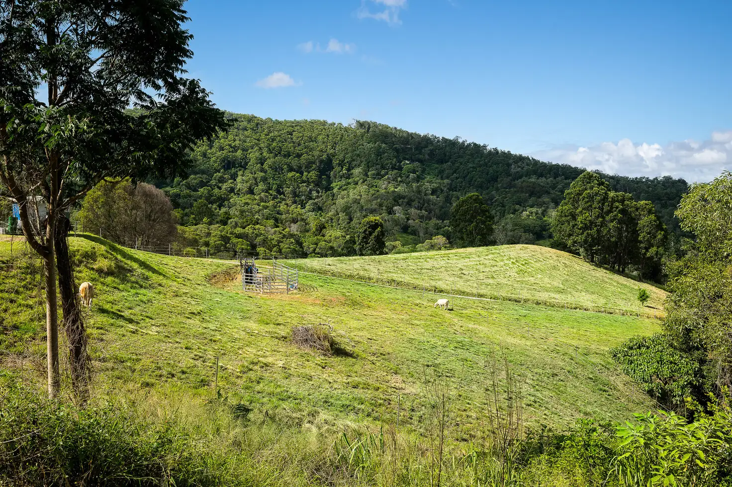 Main view of Homely land listing, 25 Whiting Road, Wamuran Basin QLD 4512