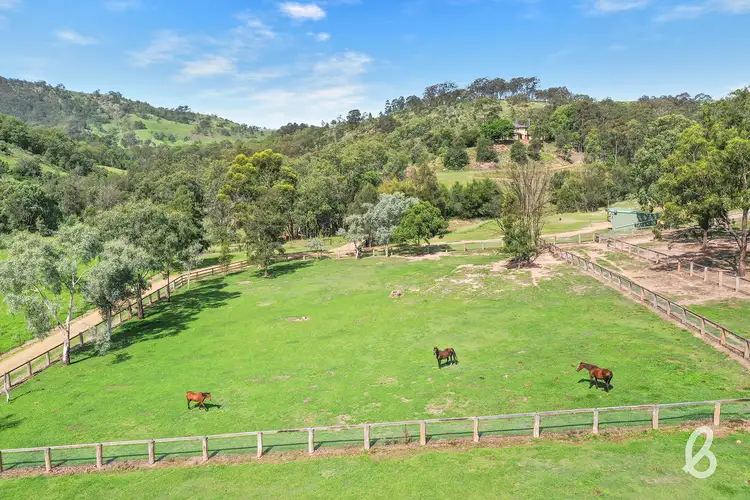 Second view of Homely rural property listing, 41 Miller Road, Singleton NSW 2330
