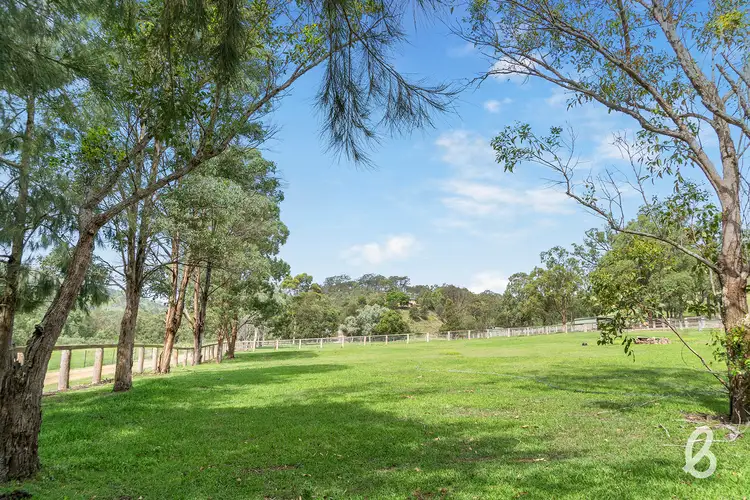 Third view of Homely rural property listing, 41 Miller Road, Singleton NSW 2330