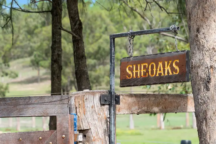 Fifth view of Homely rural property listing, 41 Miller Road, Singleton NSW 2330